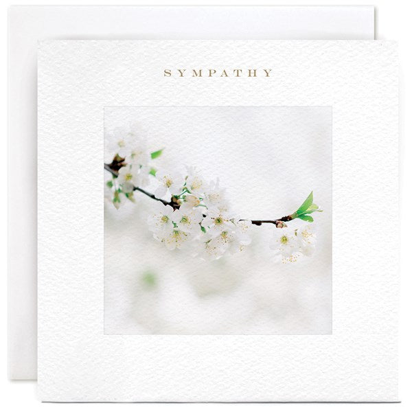 "Sympathy" White Blossom Card | Susan O'Hanlon