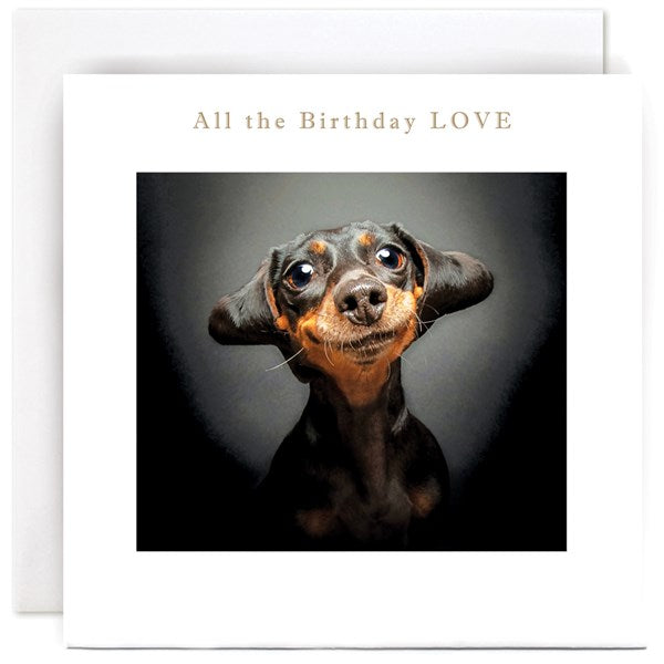 "Adoring Daschund" Card | Susan O'Hanlon