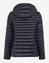 Bern Navy Padded Jacket | Brax