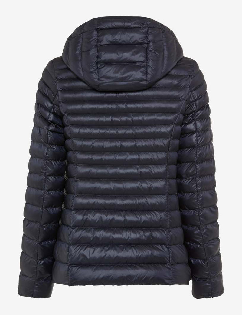 Bern Navy Padded Jacket | Brax