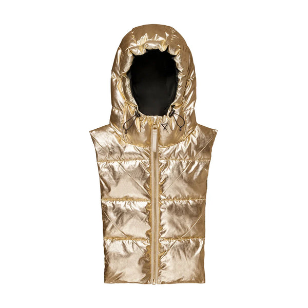 Reversible Hood Insert in Gold & Black | Fudoon