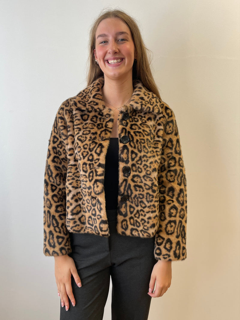 Faux-Fur Leopard Jacket | Esthēme Cachemire