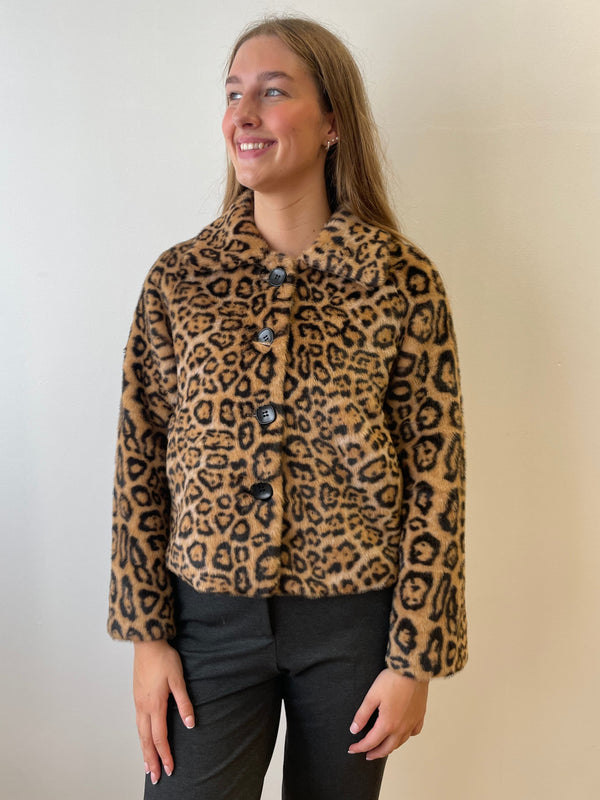 Faux-Fur Leopard Jacket | Esthēme Cachemire