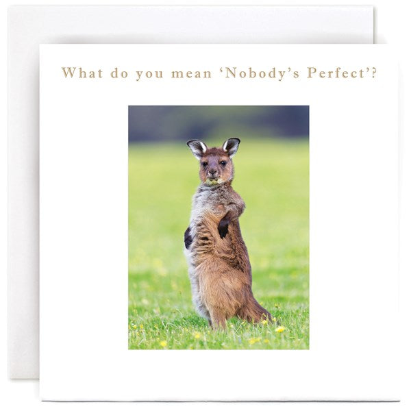 "Outraged Kangaroo" Card | Susan O'Hanlon