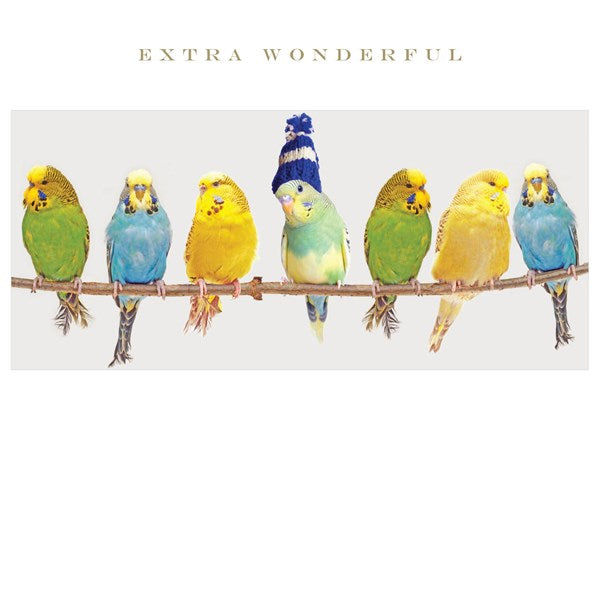 Extra Wonderful Card | Susan O'Hanlon at Sarah Thomson Melrose