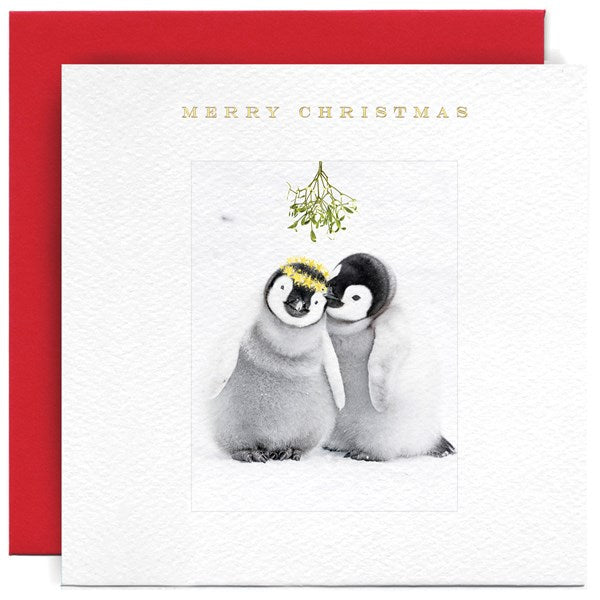 Cuddling Penguins Merry Christmas Card | Susan O'Hanlon at Sarah Thomson