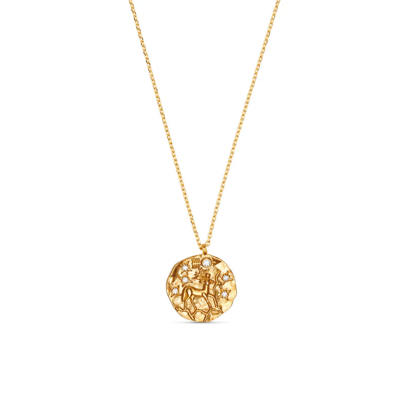 Zodiac Necklace | Orelia Jewellery