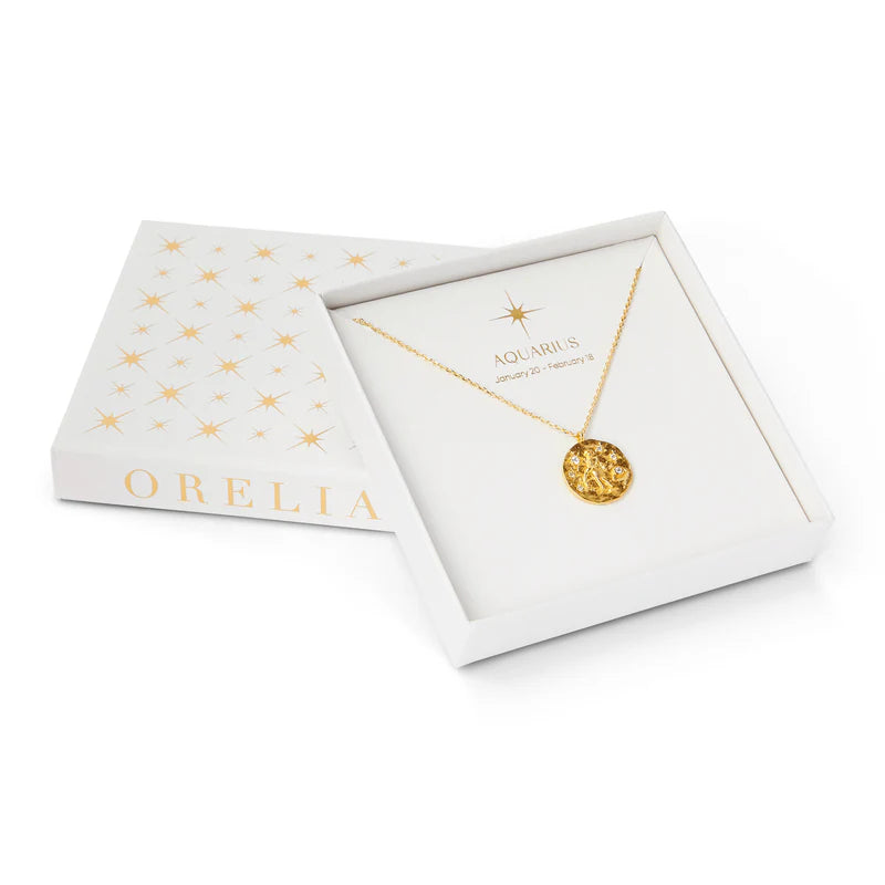 Zodiac Necklace | Orelia Jewellery