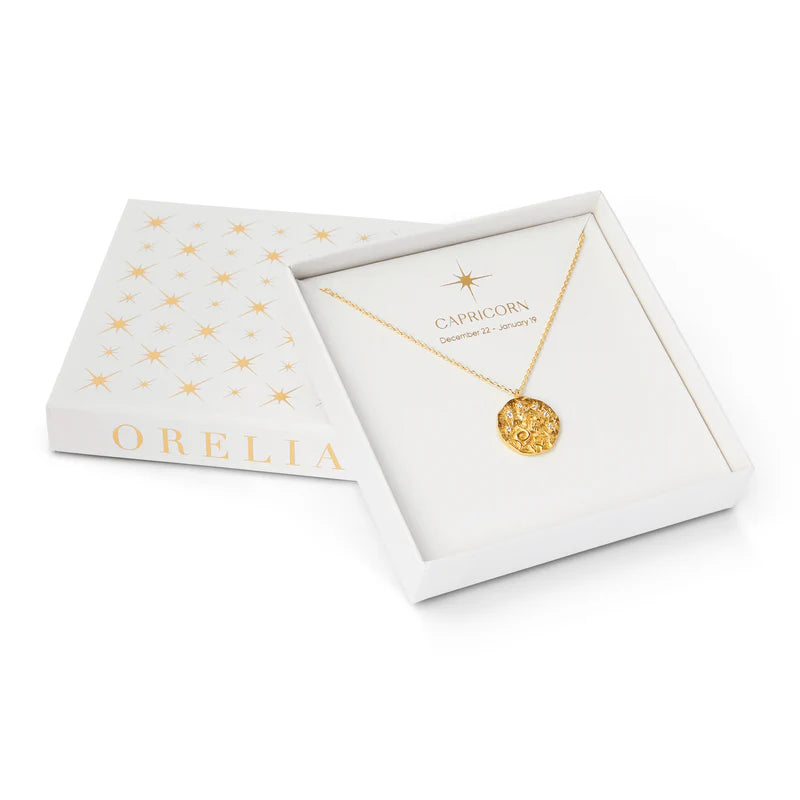 Zodiac Necklace | Orelia Jewellery