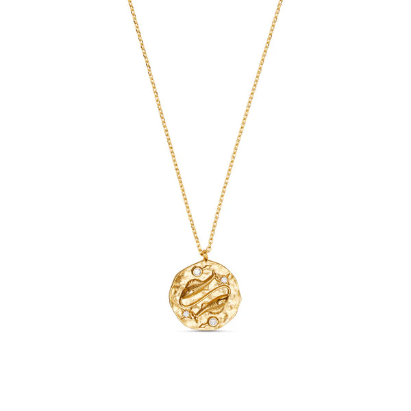 Zodiac Necklace | Orelia Jewellery