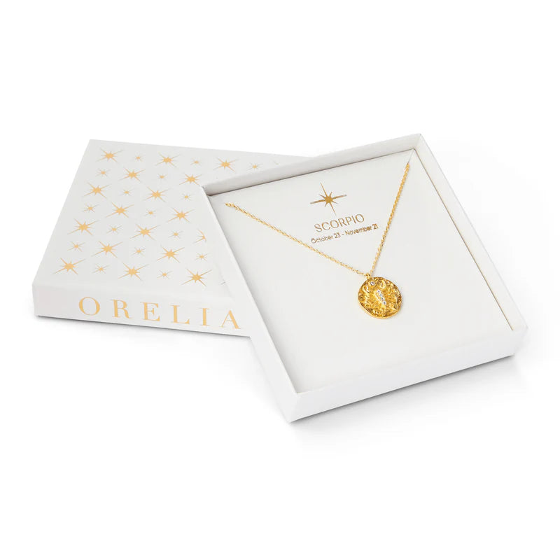 Zodiac Necklace | Orelia Jewellery