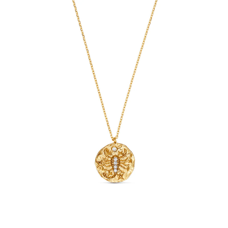 Zodiac Necklace | Orelia Jewellery