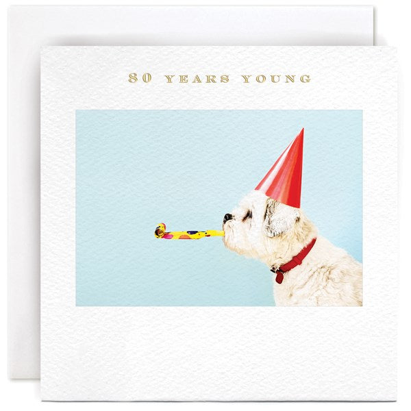 "80 Years Young" Card | Susan O'Hanlon