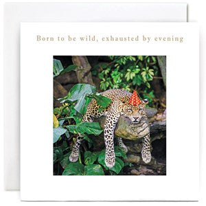 "Born to be wild, exhausted by evening" Card | Susan O'Hanlon