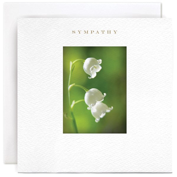 "Sympathy" Card | Susan O'Hanlon