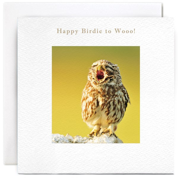 "Happy Birthday to Wooo!" Card | Susan O'Hanlon