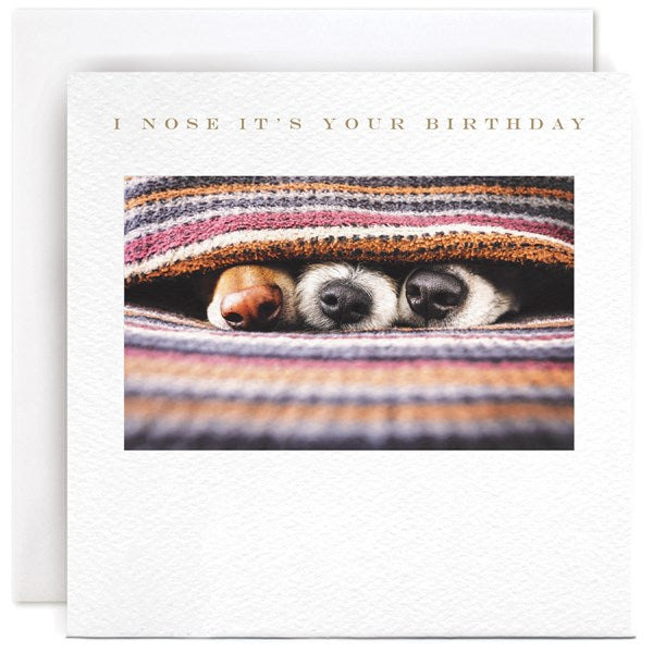 "I Nose It's Your Birthday" Card | Susan O'Hanlon