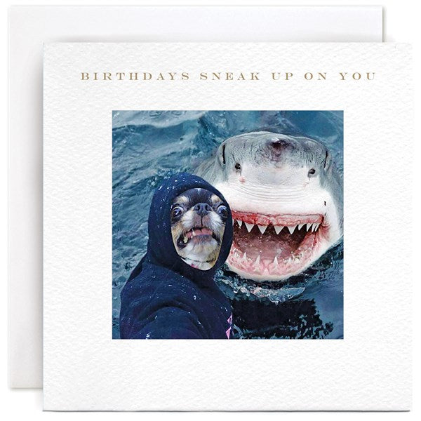 "Birthdays Sneak Up On You" Card | Susan O'Hanlon